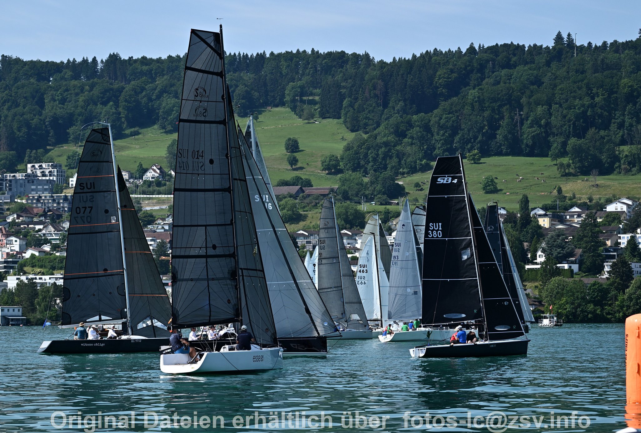 2025 06 21 Zimmerberg-100.jpg